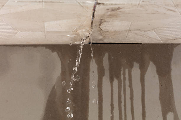 Professional Sewage Cleanup technician working in Bloomington, MN